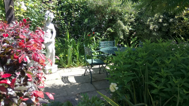Freda's Garden - tranquil spot