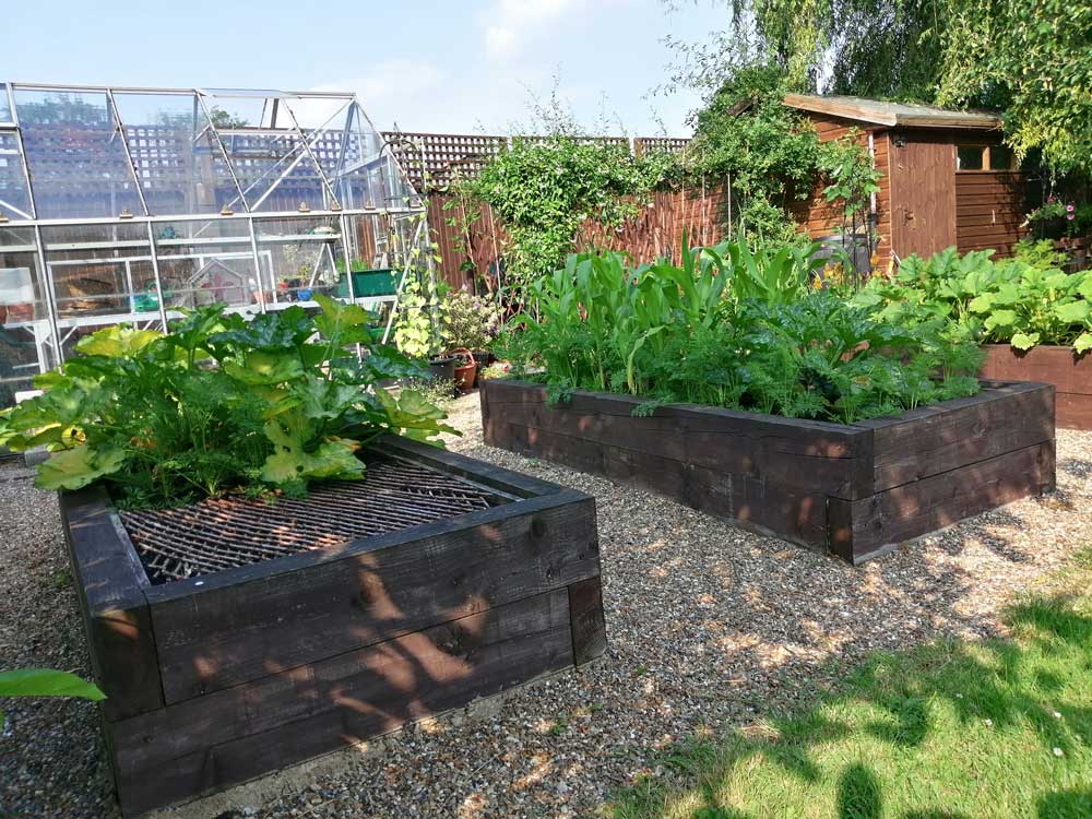 Allotment area and Greenhouse in Freda's Garden