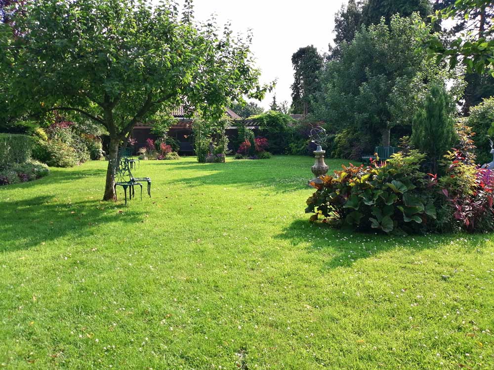 Orchard area of Freda's Garden